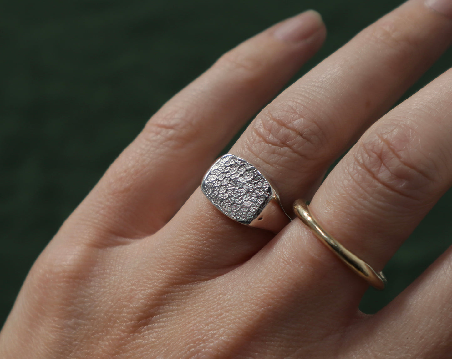 Dog nose print signet ring