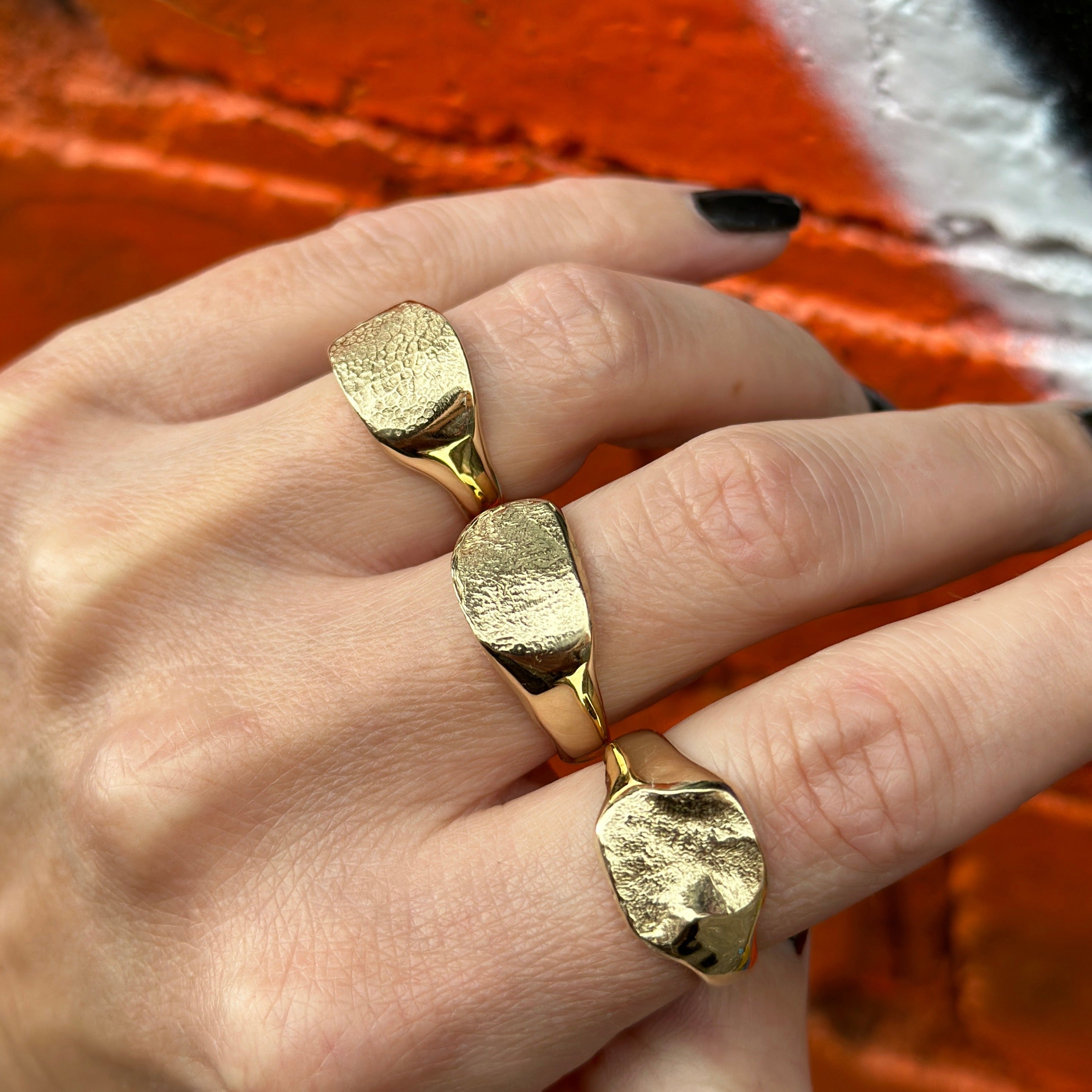 Signet Print Dog nose print signet ring – Blackbird + Bones