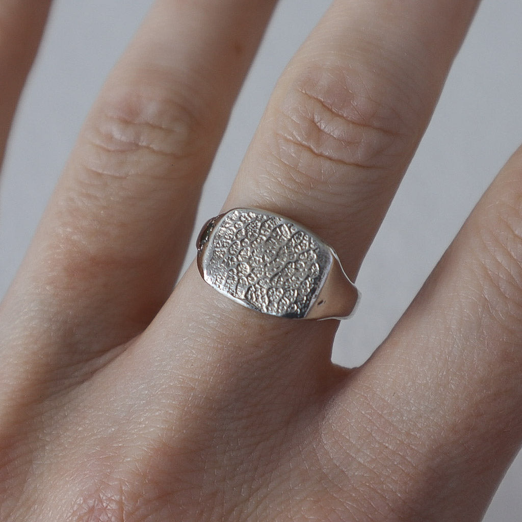 Signet Print Dog Nose Print Signet Ring – Blackbird + Bones