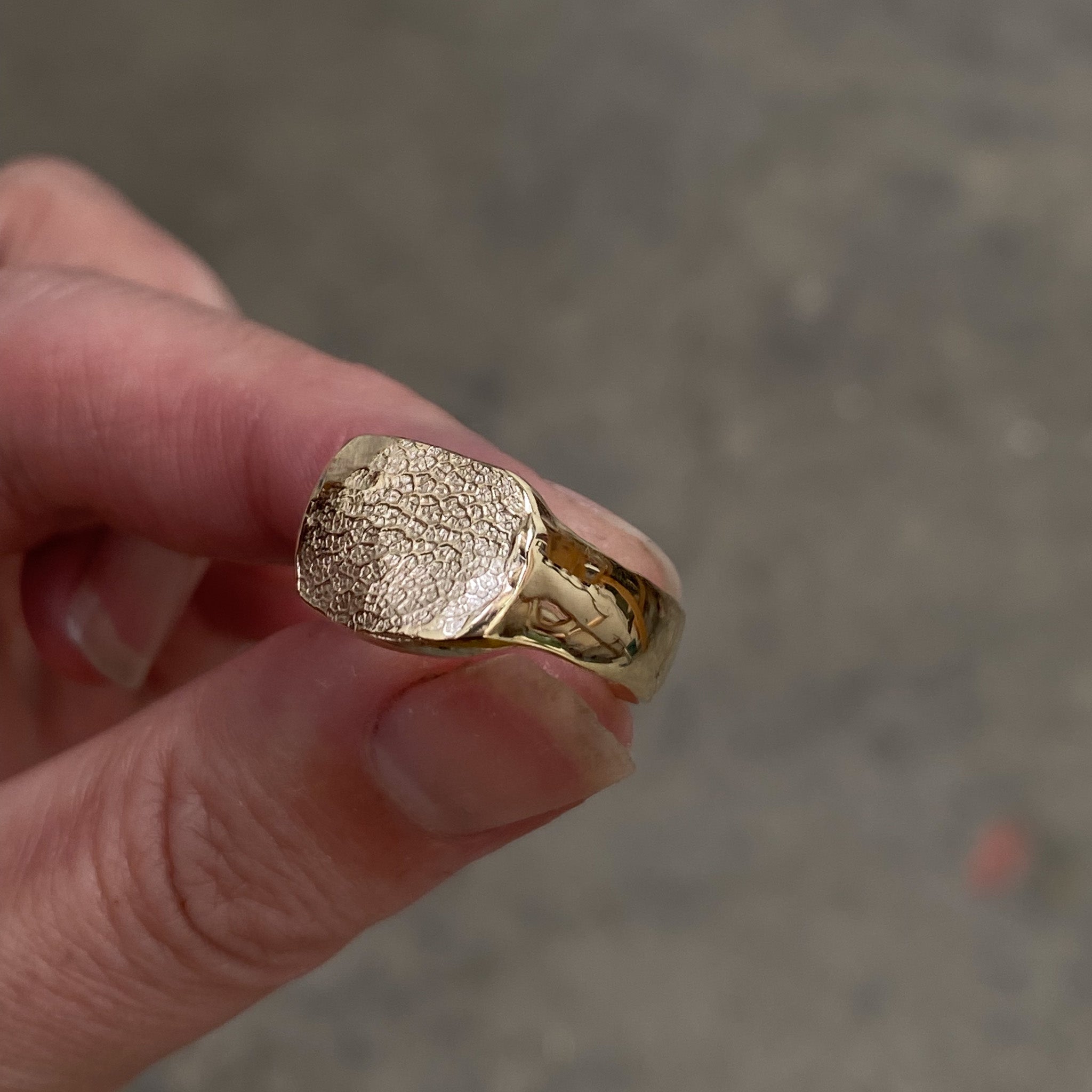 Signet Print Dog nose print signet ring – Blackbird + Bones